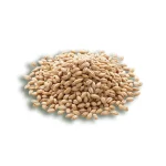 barley