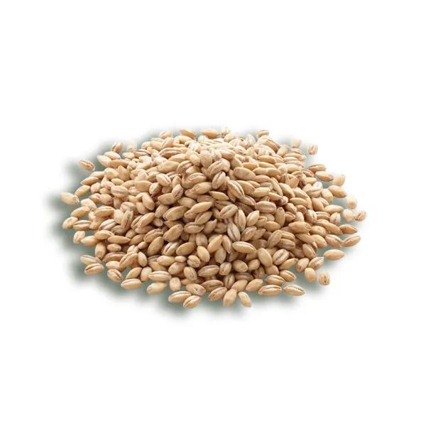 barley