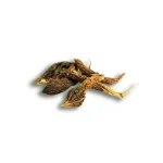 bitter-gourd-dry