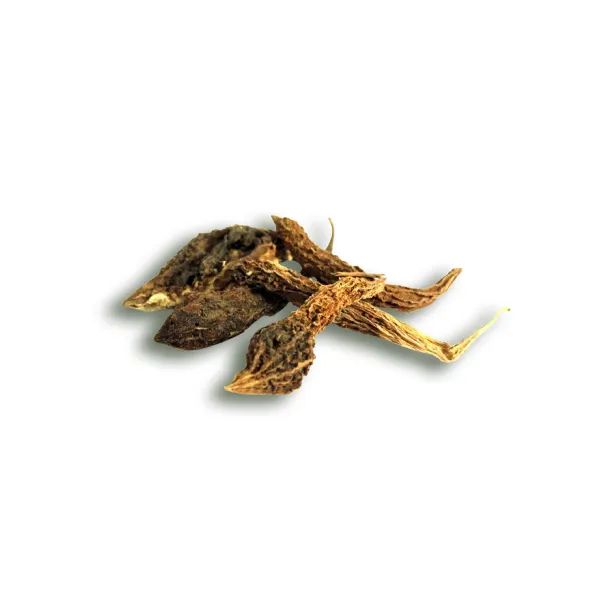 bitter-gourd-dry