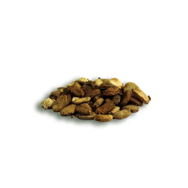 bitter-gourd-seeds