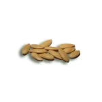 melon-seeds