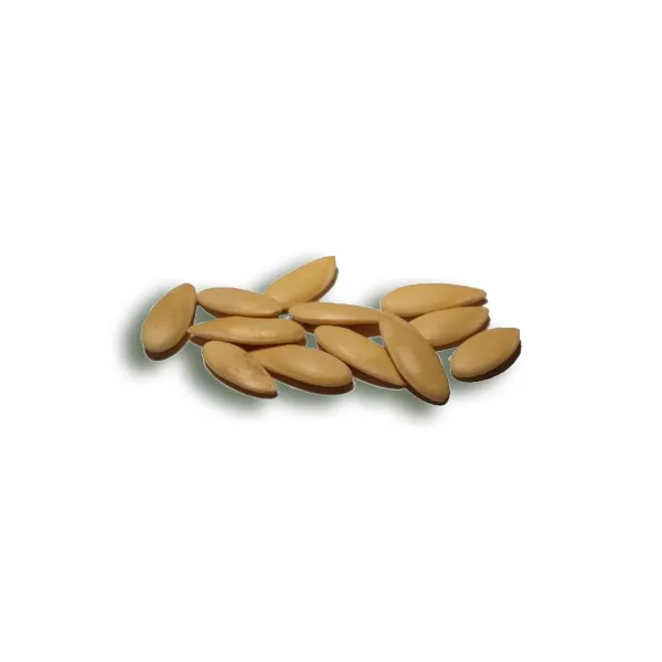 melon-seeds