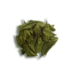 neem-leaves