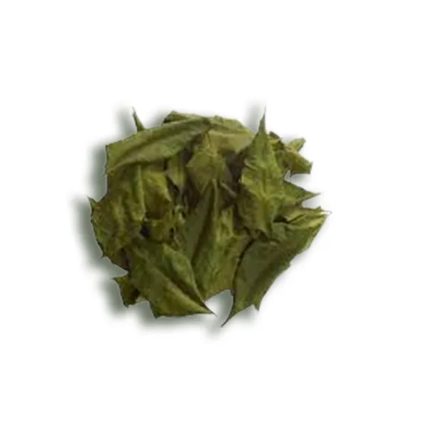 neem-leaves