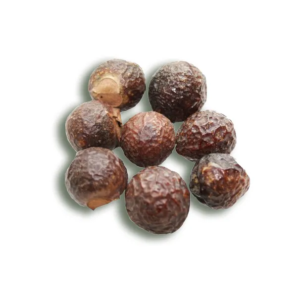 soap-nut