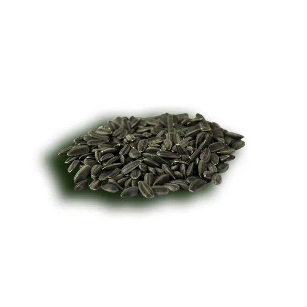 sunflower-seeds-